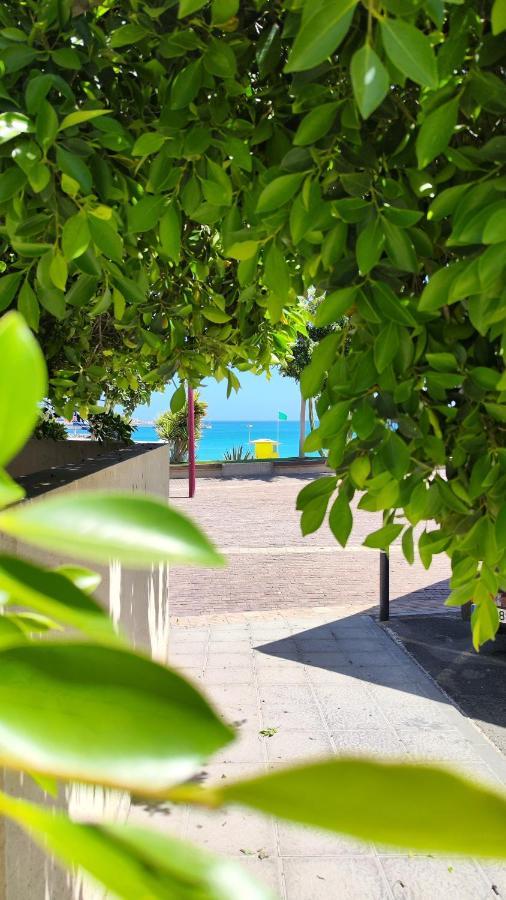 Fabelo Apartment, Puerto Del Rosario Puerto del Rosario  Eksteriør bilde